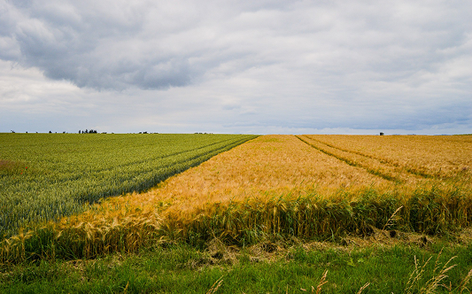 Supplying farms and agri-processors with reliable inputs.